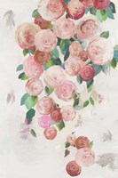 Blossoming Waterfall Fine Art Print