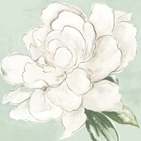 Garden Princess Framed Print