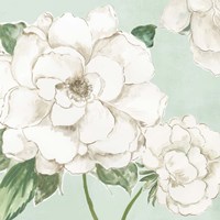 Morning Dream Framed Print