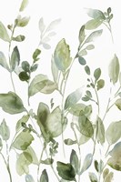 Greetings to the Morning II Fine Art Print