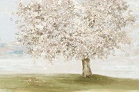 Language of Nature Fine Art Print