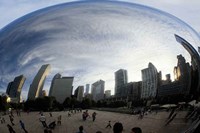 The Bean Chicago Fine Art Print