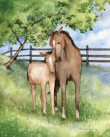 Farm Family Horses Framed Print