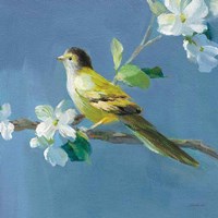 Spring in the Neighborhood V Framed Print