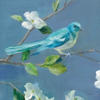 Spring in the Neighborhood IV Framed Print