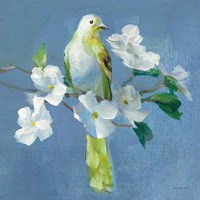 Spring in the Neighborhood II Framed Print