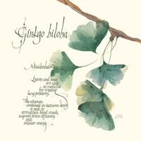 Ginkgo Biloba Fine Art Print