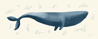 Ocean Life Whale Fine Art Print
