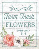 Pastel Flower Market IV Framed Print
