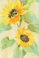 Sunny Blooms Fine Art Print