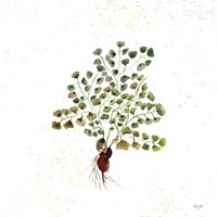 Botticelli Plants II Fine Art Print