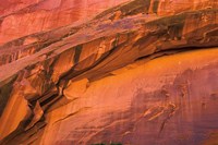 Neon Canyon II Fine Art Print