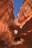 Neon Canyon I Fine Art Print