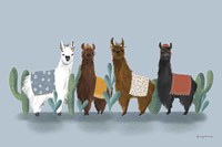 Delightful Alpacas V Fine Art Print