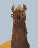 Delightful Alpacas III Fine Art Print