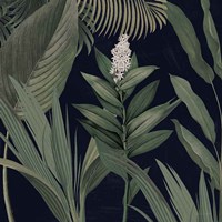 Dramatic Tropical I Light Framed Print