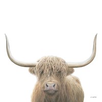 Highland Cow Sepia Sq Fine Art Print