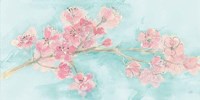 Cherry Blossom I Teal Fine Art Print