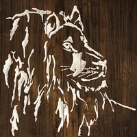 White Lion on Dark Wood Framed Print
