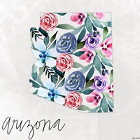 Arizona Fine Art Print