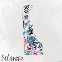 Delaware Fine Art Print