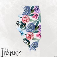 Illinois Fine Art Print