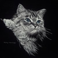 Kitten II Fine Art Print