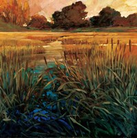 Golden Creek Fine Art Print