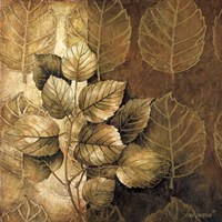 Leaf Patterns III Fine Art Print
