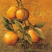 Orange Branch Fine Art Print