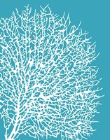 Aqua Coral II Fine Art Print