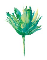 Aria II Fine Art Print