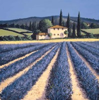 Colors of Summer Fine Art Print