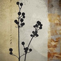 Sombras de Oro II Fine Art Print