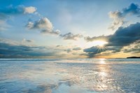 Taylor Bay Fine Art Print