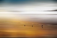 Quiet Invitation Fine Art Print