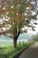 Almost Autumn Fine Art Print