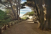 Big Sur Fine Art Print