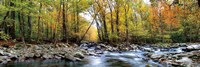 Porters Creek Fine Art Print