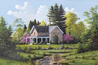 Rippling Stream Fine Art Print