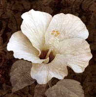 Verdant Blossom Fine Art Print