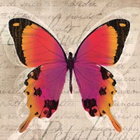 Butterflies III Fine Art Print