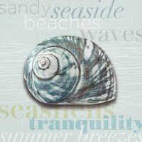 Beach Collection I Fine Art Print