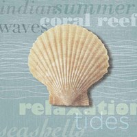 Beach Collection III Fine Art Print