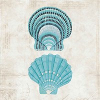 Under the Sea III Fine Art Print