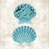 Under the Sea IV Fine Art Print