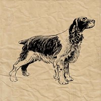 Spaniel Fine Art Print