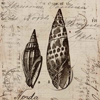 Ocean Collection III Fine Art Print