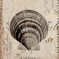 Ocean Collection IV Fine Art Print