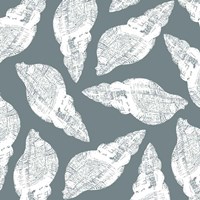 Scattered Shells I Fine Art Print